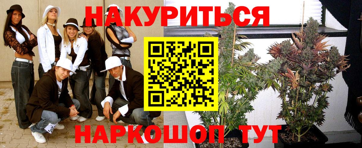Бошки марихуана THC 21%  Марихуана тримм  Конопля тримм  Оренбург  Вход с VPN 